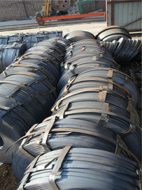 1 - 12mm stali walcowanej na gorąco Cewki Q195 / Q345B, HR Steel Cewki